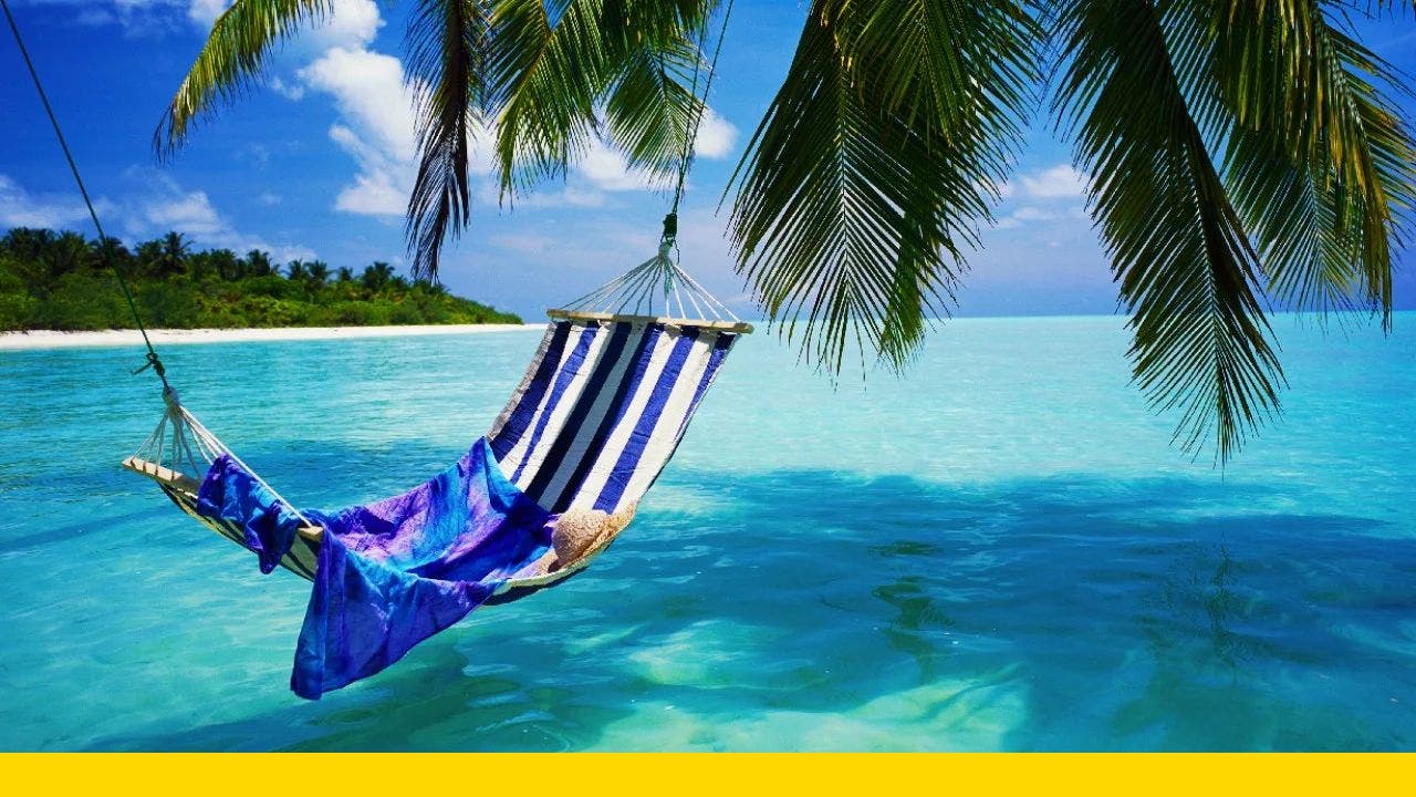 JetBlue | Why settle for just cheap airline tickets? Get JetBlue | Why settle for just cheap airline tickets? Get